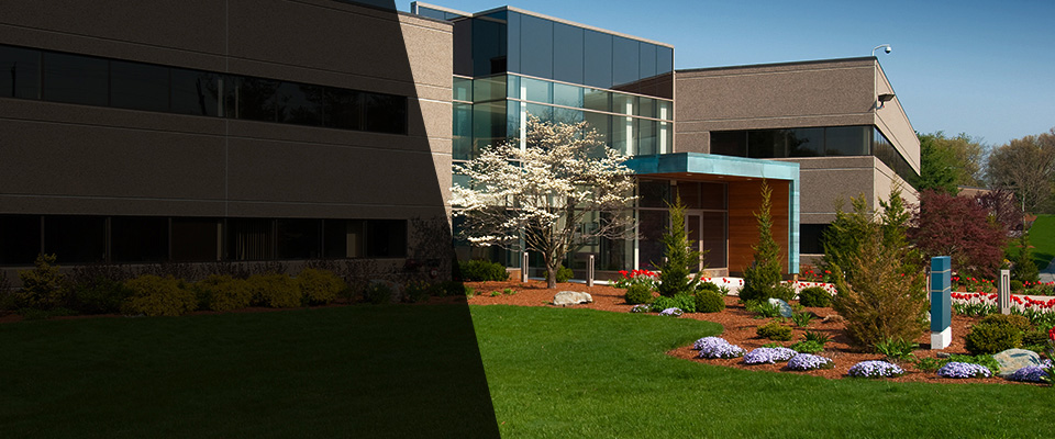 New Tazewell Landscapers